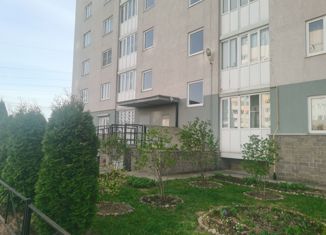Продажа 1-комнатной квартиры, 46 м2, деревня Старая, Школьный переулок, 5к1