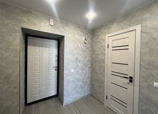 Продам однокомнатную квартиру, 41 м2, село Чигири, Красивая улица, 23А