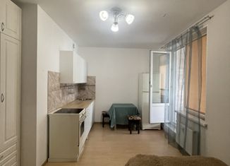 Продаю квартиру студию, 24 м2, деревня Кудрово, Английская улица, 3к6