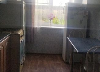 Продается трехкомнатная квартира, 58.9 м2, село Сенчанка, Молодёжная улица, 8