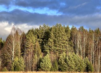 Продаю земельный участок, 8.45 сот., рабочий посёлок Решетниково, Молодёжная улица