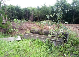 Продается участок, 10 сот., СНТ Муравей