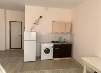 Сдается в аренду квартира студия, 22 м2, Сочи, Пятигорская улица, 32/10, микрорайон Соболевка