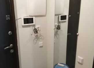 Квартира на продажу студия, 24 м2, Санкт-Петербург, ЖК Солнечный Город, проспект Ветеранов, 169к2