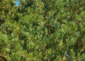 Продам дом, 70 м2, СНТ Черёмушки