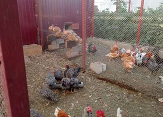 Продается земельный участок, 11.83 сот., село Кузьмищево, Центральная улица