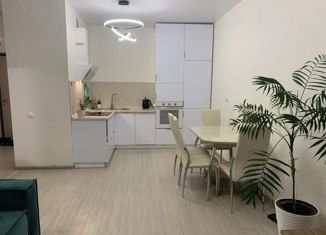 Сдам 1-ком. квартиру, 45 м2, Екатеринбург, улица Расковой, 8