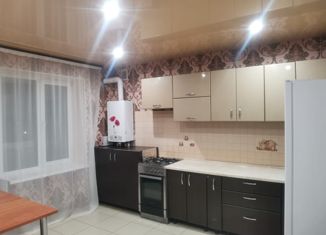 Продается 1-комнатная квартира, 55 м2, Ставропольский край, улица Ляпидевского, 7