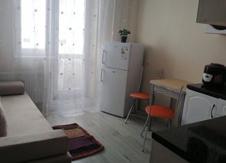 Сдаю в аренду квартиру студию, 20 м2, Тюмень, улица Новосёлов, 111