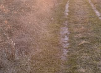 Продается участок, 32.5 сот., село Елизарьево, улица Новая Линия