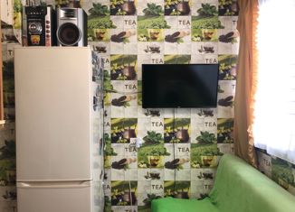 Продам 1-ком. квартиру, 32.5 м2, Санкт-Петербург, Байконурская улица, 5к1, Байконурская улица