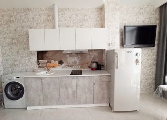 Продажа 1-комнатной квартиры, 27 м2, Сочи, Изумрудная улица, 40/8, микрорайон Энергетик-Изумруд