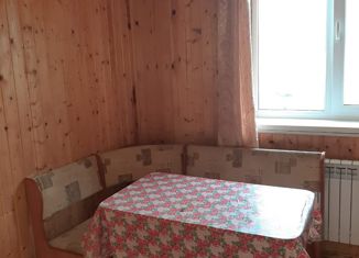 Продается дом, 39.1 м2, село Аскино, Радужная улица, 16