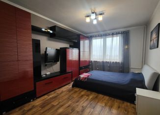 Продается 1-комнатная квартира, 36.4 м2, Санкт-Петербург, Красногвардейский район, Хасанская улица, 2к1