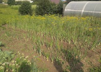 Продам участок, 10 сот., село Филипповка, село Филипповка, 97