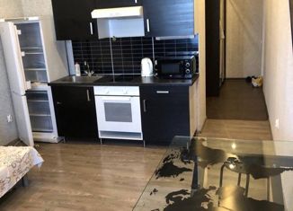 Продаю квартиру студию, 23.7 м2, Новосибирск, Березовая улица, 19, Березовая улица