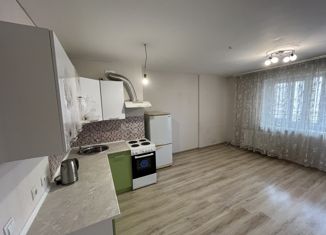 Продается квартира студия, 28.8 м2, Ижевск, Северо-Западный жилой район, 8-я Подлесная улица, 48А