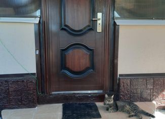 Продается дом, 58.5 м2, садовое товарищество Орбита, Ромашковая улица, 251