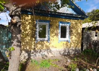 Продается дом, 48.5 м2, село Веселоярск, улица Зимы, 95