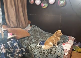 Продаю дом, 120 м2, деревня Начапкино, Заречная улица