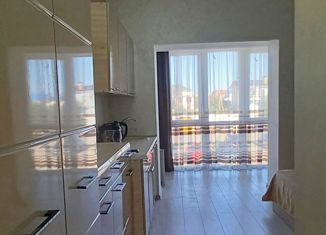 Продаю однокомнатную квартиру, 19.9 м2, село Орловка, Качинское шоссе, 33Б/1