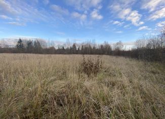 Продажа участка, 20 сот., деревня Ирдоматка, деревня Ирдоматка, 64