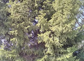 Продажа земельного участка, 12.25 сот., СНТ Геофизик