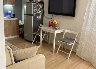 Продам квартиру студию, 30.4 м2, Санкт-Петербург, метро Приморская, улица Вадима Шефнера, 14к1