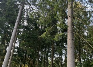 Продажа участка, 39 сот., Звенигород, Сосновая аллея