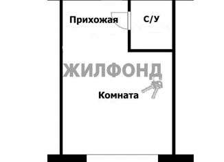 Продается квартира студия, 17 м2, Барнаул, Октябрьский район, улица Эмилии Алексеевой, 13А