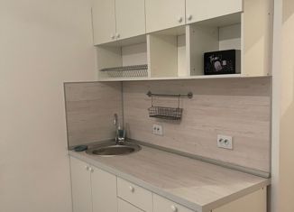 Продается квартира студия, 20 м2, Мурино, Воронцовский бульвар, 21к1, ЖК Мой Мир