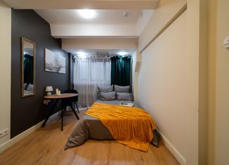 Продаю квартиру студию, 19 м2, Москва, Балтийская улица, 15, район Сокол