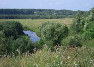 Продаю земельный участок, 36 сот., село Вешки, улица Фокина