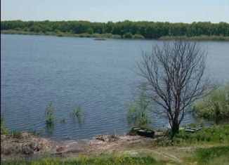 Дом на продажу, 49.8 м2, село Новинки, Центральная улица, 8