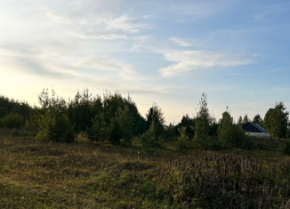 Земельный участок на продажу, 16 сот., деревня Турлавы, Речная улица