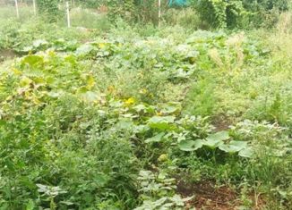 Продажа дома, 62 м2, посёлок Приозёрный, Молодёжная улица