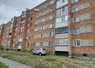 Продажа 2-комнатной квартиры, 51.5 м2, Калачинск, Пролетарская улица, 4