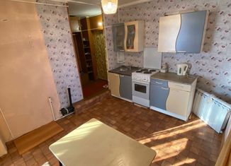 2-комнатная квартира на продажу, 42.2 м2, посёлок Энергетик, посёлок Энергетик, 13