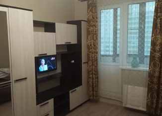 Продается квартира студия, 25.2 м2, Мурино, Охтинская аллея, 14