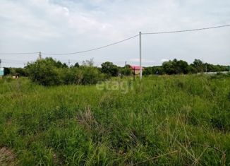 Продам участок, 18 сот., село Новый Мир, Лесная улица, 31А