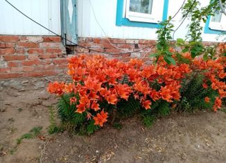 Продается дом, 55.6 м2, село Чкаловское, Зелёная улица, 22