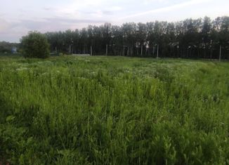 Продается участок, 10 сот., СПК Родник, СПК Родник, 59