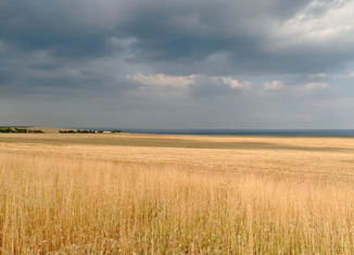 Продажа земельного участка, 102 сот., село Челядиново, улица Гагарина, 2