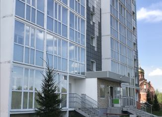 Продаю 1-ком. квартиру, 41.5 м2, деревня Голубое, Парковый бульвар, 2к6