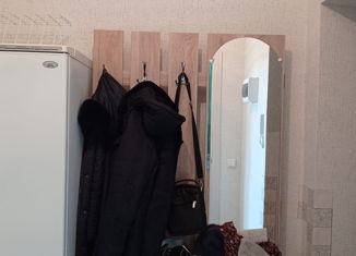 Аренда квартиры студии, 28 м2, Барнаул, Балтийская улица, 101