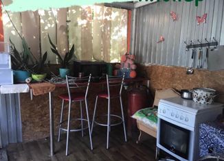 Дом на продажу, 40 м2, садоводческое некоммерческое товарищество Пионер, Абрикосовая улица