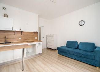 Продается квартира студия, 21 м2, Санкт-Петербург, Плесецкая улица, 14