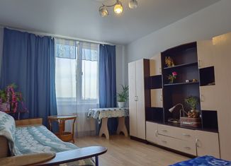 1-комнатная квартира в аренду, 42 м2, Екатеринбург, Мостовая улица, 47, Ленинский район