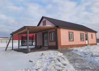 Продается дом, 65 м2, село Малобрусянское, Р-351, 38-й километр