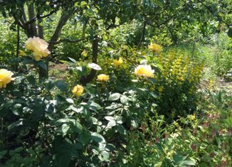 Продается дом, 30 м2, СНТ Прогресс